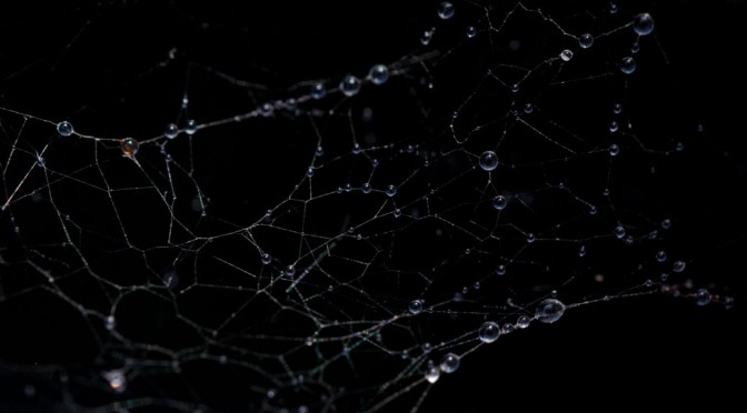 Altes Glas, neue Liebe zum Micro-Nikkor 60mm 1:2.8 ohne „D“