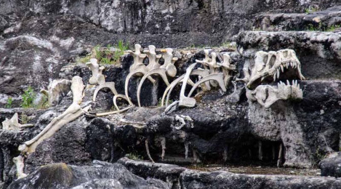 Disneyland Paris und die Buffalo Bill Show