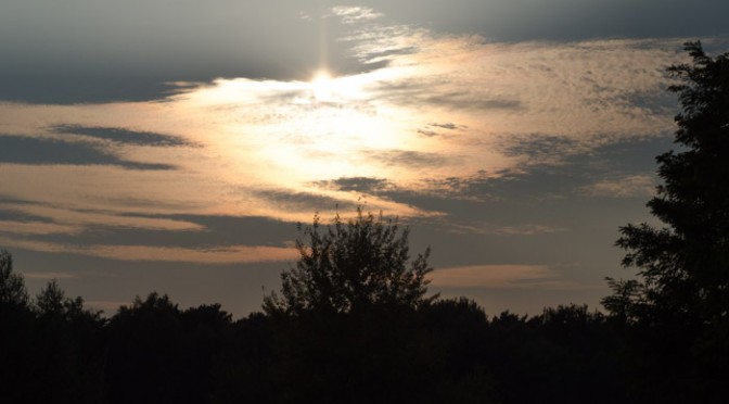 Abends auf dem Truppenübungsplatz in Speyer