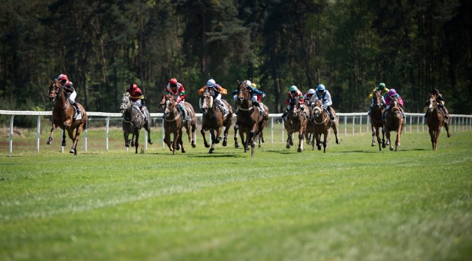 Pferderennbahn Hassloch, fotografieren beim Galopprennen